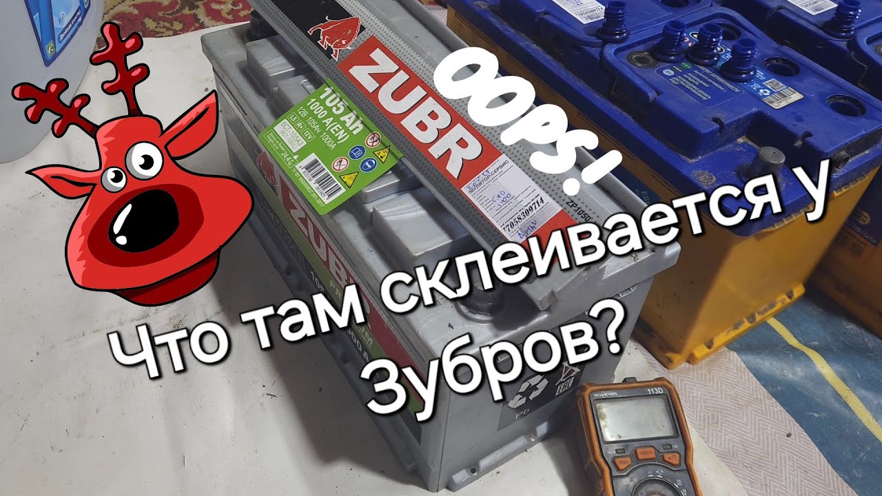 The Zubr turned out to be different.