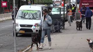 Video: Emily Ratajkowski looks casual in denim while walking her dog