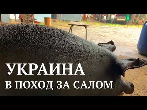 Украина. Как готовят самое вкусное украинское сало. Жизнь в селе ...