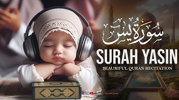 World's Amazing Recitation of Surah Yasin | Yaseen سورة يس | Peaceful Quran