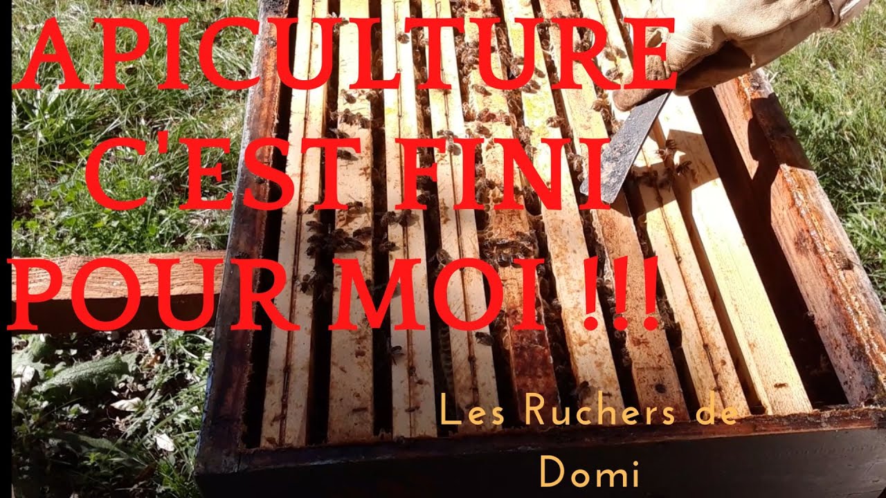 Saison 1 Ep40 2022. Fin de mise en hivernage des ruches. Dernier passage.