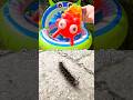 Learn Bug Insect Names for Kids at the Monster Pool: Ant Spider Cicada Dragonfly Caterpillar