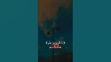 تلاوة هادئة جميلة بصوت شيخ ماهر المعيقلي ارح قلبك ❤️