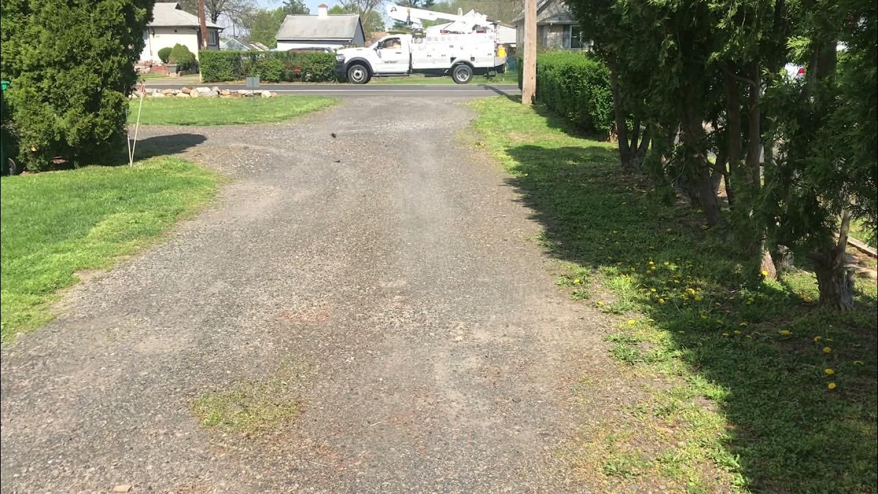 How To Kill Weeds Grass in Gravel Driveway PART 1 YouTube