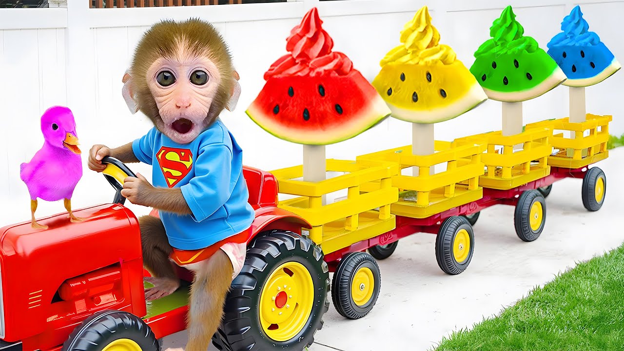 Affe Bon Bon kauft Wassermeloneneis und isst mit dem Welpen auf der Farm | BONBON GERMAN
