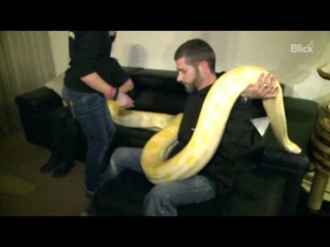 Gómez family: With a 5-meter python in the living room