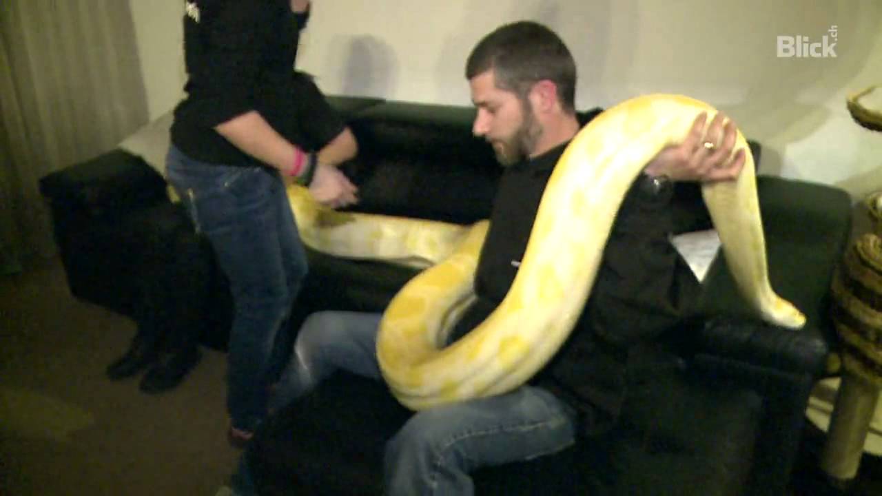 Familie Gomez Mit 5 Meter Python Im Wohnzimmer Youtube