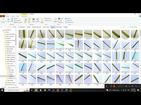 Paddy Plant Disease Identification using Mobilenet Algorithm and Treatment Recommendation