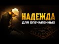 Надежда для опечаленных | Изд. &quot;Голос Истины&quot;