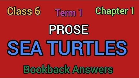 6th English | term 1 | chapter 1 prose |  Sea turtles | bookback answers