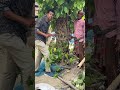 একটি চুইঝাল গাছ পঁয়ত্রিশ হাজার টাকা বিক্রি