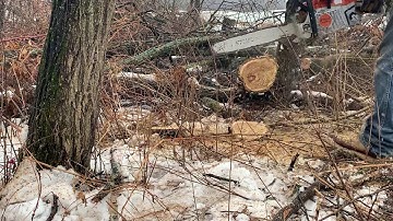 Marks New ported 261 test cuts.