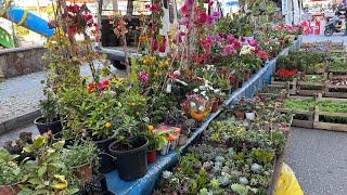 21 Nisan 2026 Aydın Nazilli Salı Pazarı Şfet