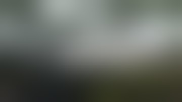 Ground Branch Beginner