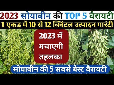 सोयाबीन की TOP 5 वैरायटी 2023 में मचाएगी