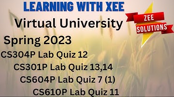 CS304P Lab Quiz 12 CS301P Lab Quiz 13,14 CS604P Lab Quiz 7  CS610P Lab Quiz 11 spring 023 virtual