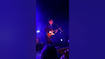 Rex Orange County - It