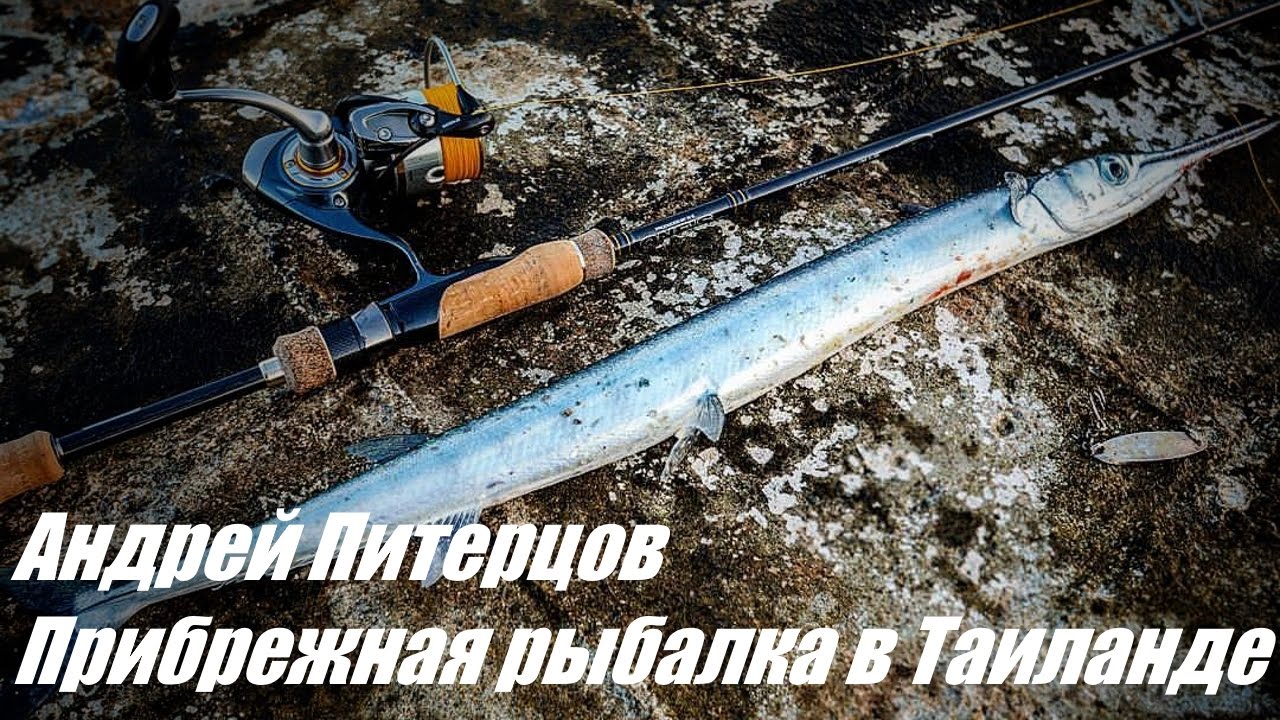Рыбалка на арапаю в тайланде кто сейчас отдыхает в тайланде