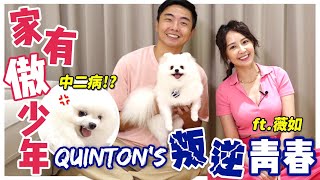 家有傲少年!?#松鼠博美 Quinton的叛逆青春出現討好性人格!?被迫跟女友分手!?刷牙現場直接翻臉!!ft.賴薇如@usersh1cx8us5g