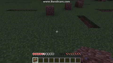 Minecraft Mineplex Server Lobby 40 {BUG}