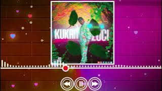 Sani Ahmad Kukan Zuci official Music 2023 Sabuwa