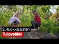 Tulipyskki  2luokkalaiset