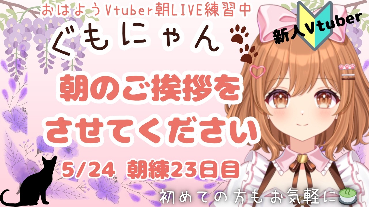 5/24 まったり朝のご挨拶を言わせてください❤ぐっどもーにゃんず