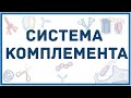 Система комплемента - механизм, составные белки, пути активации