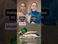 A1 VS B1 - UCCELLO