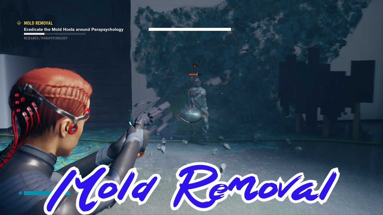 Control Mold Removal Locations Parapsychology Ritual Division