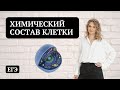 Химический состав клетки