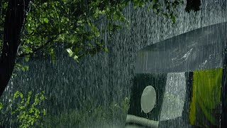 Fall Asleep Fast in 3 Minutes with Tropical Heavy Rain & Strong Thunder Sounds on Tent in Forest