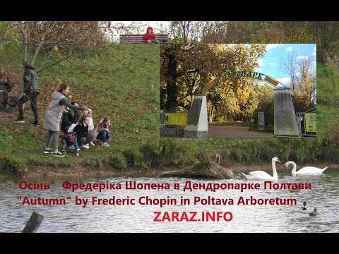 Autumn by Frederic Chopin in Poltava Arboretum/ Осінь  Фредеріка Шопена в Дендропарке Полтави