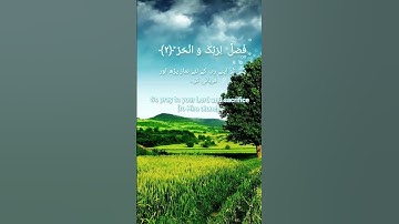 Quran Islam  | Surah Al Kausar  English with Urdu transliteration | سورة الكوثر