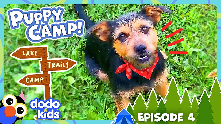 Sleepaway Camp Surprises Kids With Puppies?! | Dodo Kids | Dog Days Of Summer Camp | Episode 4 - DayDayNews