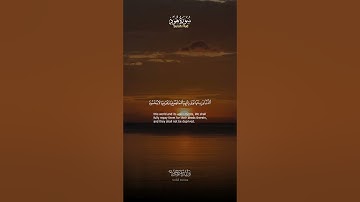 سورة هود آيات تلامس القلوب بنقاء الصوت وطهر التدبر | Surah Hud Heart-touching Verses with Pure Rec