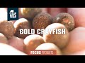 La nouvelle gold crayfish avec les frres passera