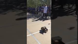 IMG 7744