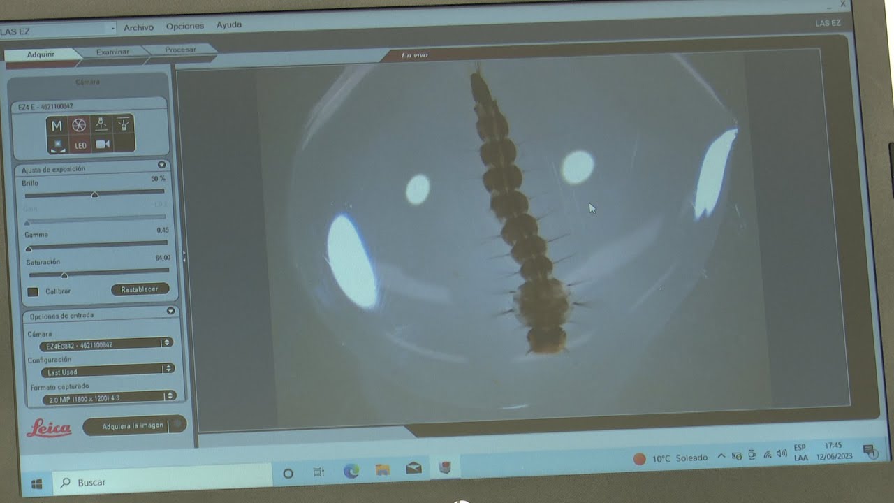 Уругвай Уругвай