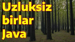 Uzluksiz birlar. Java. Robocontest N0257