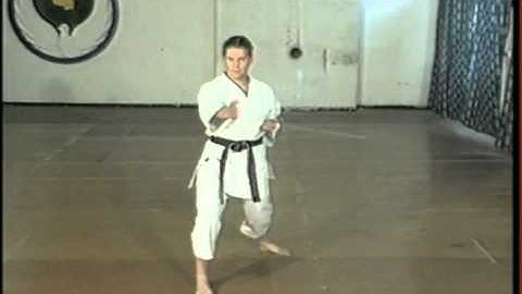 3rd Kyu to 1st Kyu Grading Syllabus