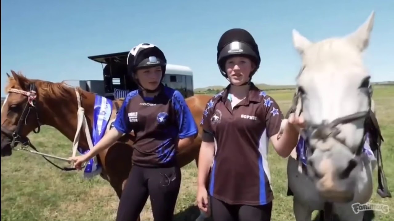 Mounted Games World Fanimals 2019 - Episode 2