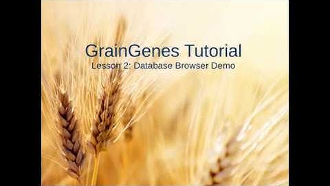 GrainGenes Tutorial 2: Database Browser Demo