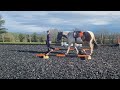 AEC Horse Style Demo in Hand 