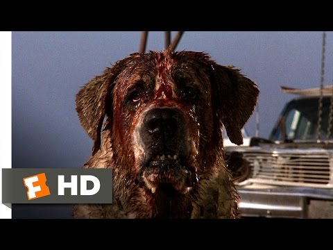 Cujo (7/8) Movie CLIP - Donna Is Bitten (1983) HD