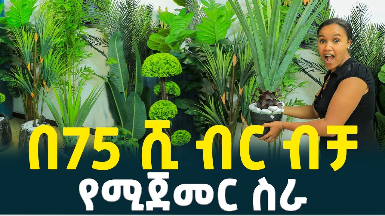 በ75 ሺ ብር ብቻ የሚጀመር ስራ | አስገራሚው የተክል ዋጋ| Price of Artificial plants in Addis Ababa 