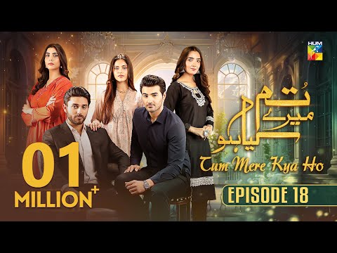 Tum Mere Kya Ho — Episode 18