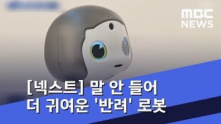 [넥스트] '놀아줘' '싫어요'…말 안 들어 더 귀여운 '반려' 로봇 (2019.01.19/뉴스데스크/MBC)