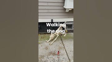 Things that take longer than restoring 1 million files with Nasuni