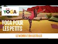 Mini yoga yoga pour les petits  le wombat en australie